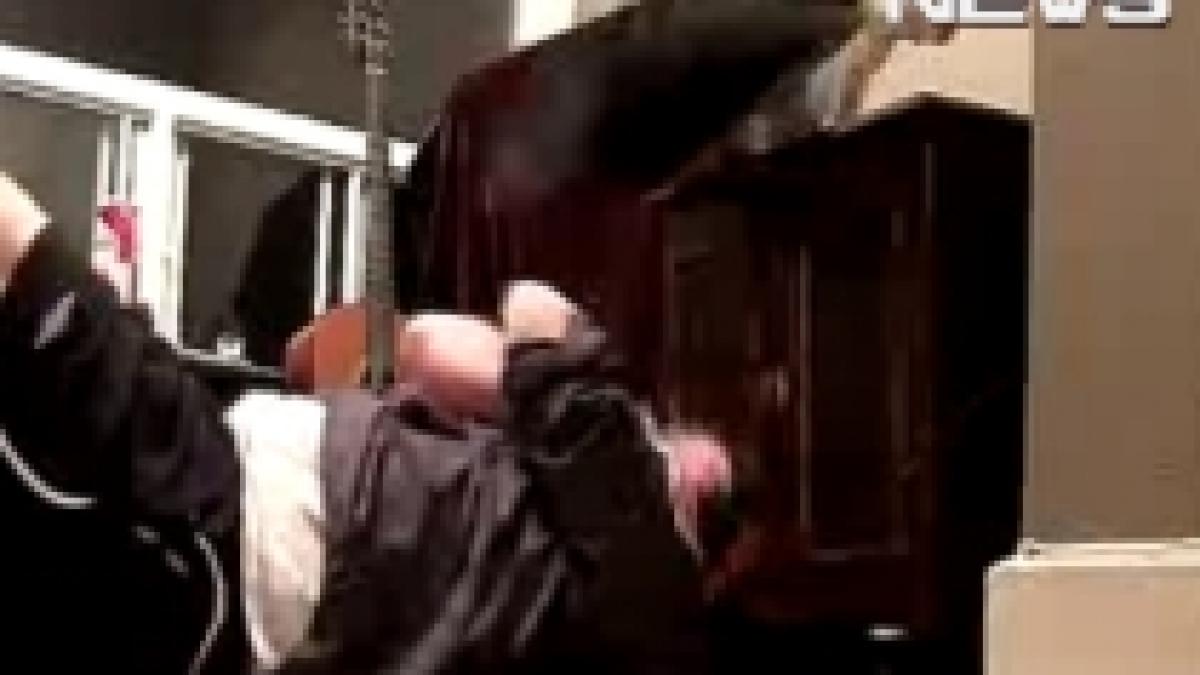 pisica pusa pe sotii a daramat televizorul in capul stapanului video