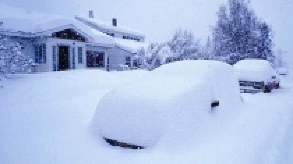 deszapezirea ii costa pe bucuresteni 10 milioane de euro anual muntii de zapada sunt gratis