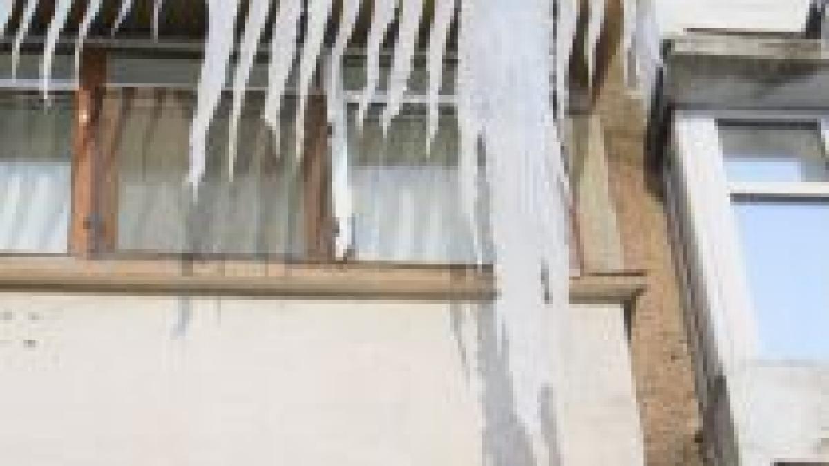 turtur de 3 metri si 25 kilograme in calarasi trimite imagini cu bucatile mortale de gheata video