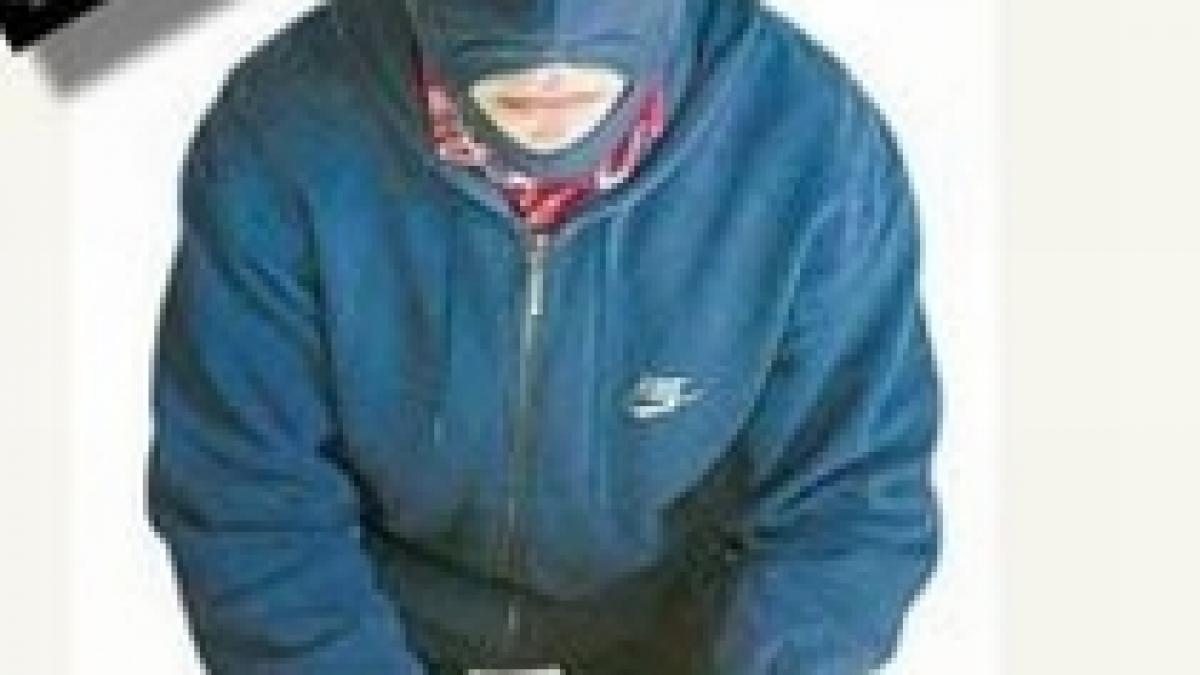 mesaje indecente la adresa lui obama pe site urile unor congresmani americani