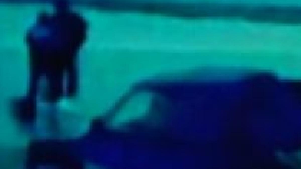 sofer teribilist gheata a cedat sub rotile masinii in care isi plimba copiii video