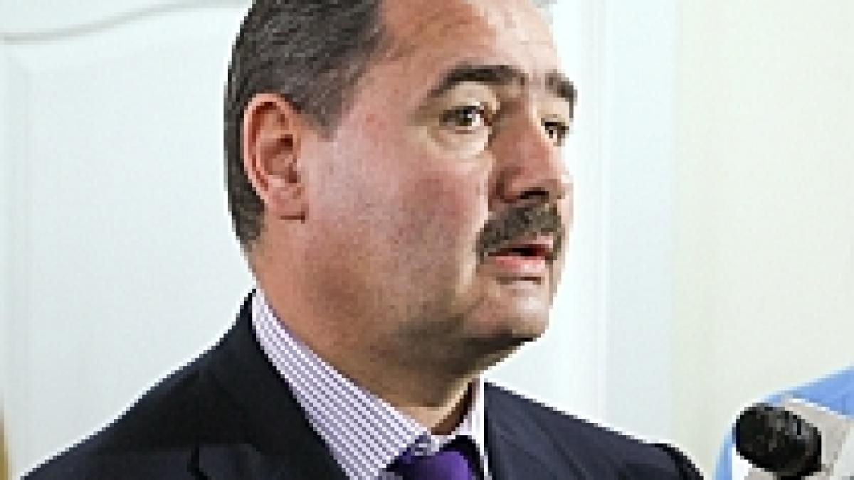 tanasescu romania va ajunge la o crestere de 5 6 in 2012