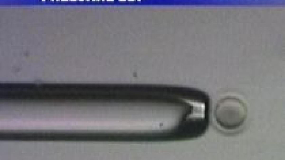 zdf desi ilegal in romania traficul cu ovule este o afacere infloritoare video