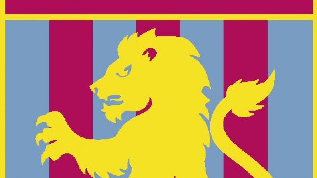 jucator de la aston villa suspendat pentru bisnita pe facebook cu biletele daruite de club