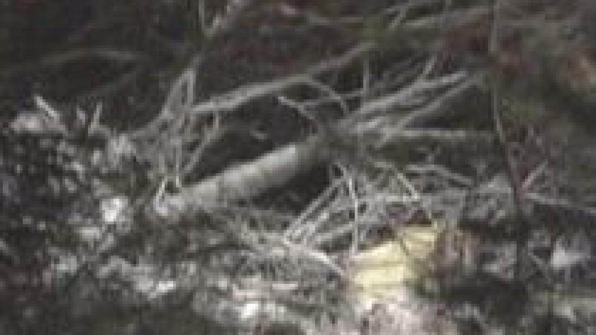 un elicopter al armatei americane s a prabusit in germania trei oameni au murit video