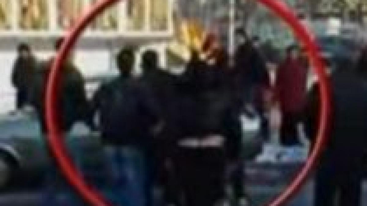 baia mare sofer luat la bataie de martorii unui accident rutier