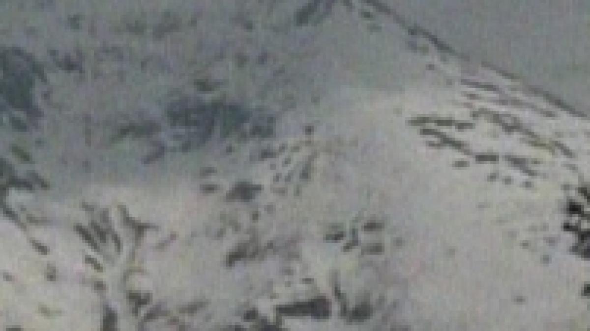 o femeie a murit dupa ce a fost surprinsa de o avalansa in muntii baiului video