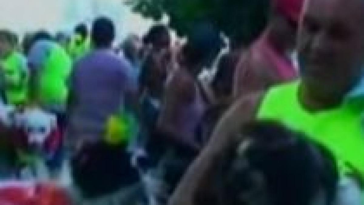 la rio de janeiro a avut loc parada anuala a animalelor video