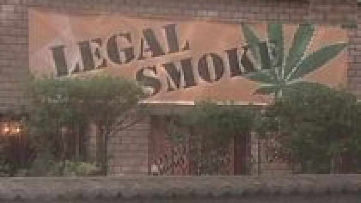 problema substantelor etnobotanice discutata in comisia de sanatate din senat video