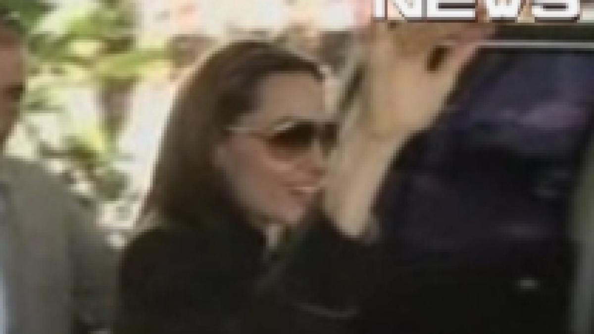 angelina jolie si brad pitt au donat un milion de dolari pentru sinistratii din haiti video