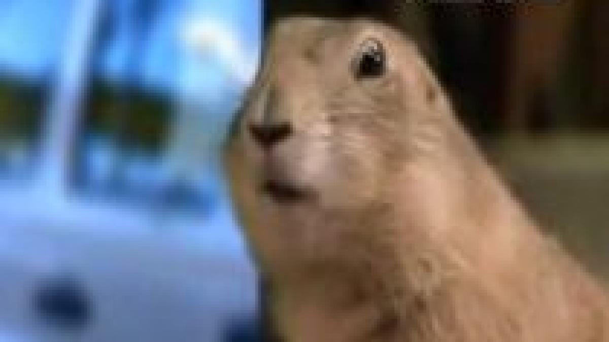 topul celor mai proaste reclame de la super bowl video