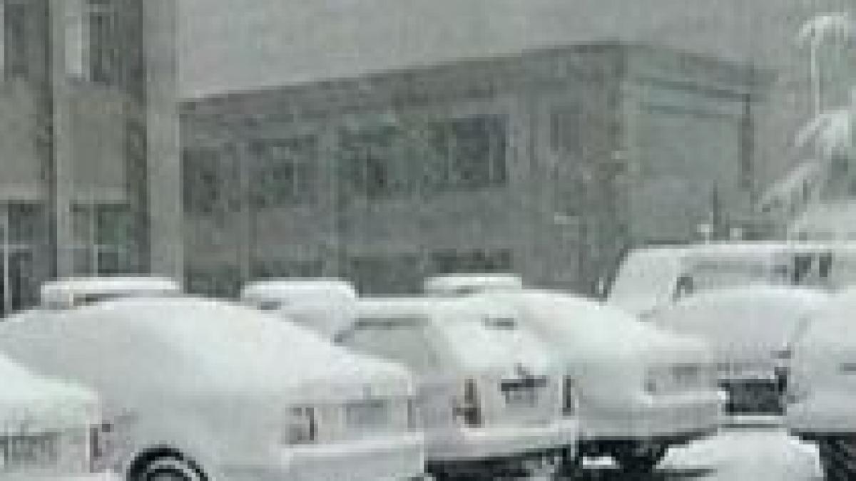 cat ii costa deszapezirea pe bucuresteni edilii au cheltuit in ultimele 4 luni 12 milioane euro