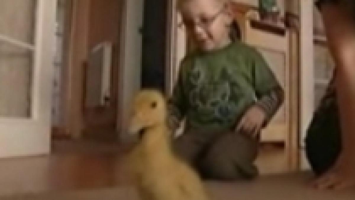 un copil de patru ani cu pareza a invatat sa mearga datorita unei rate video