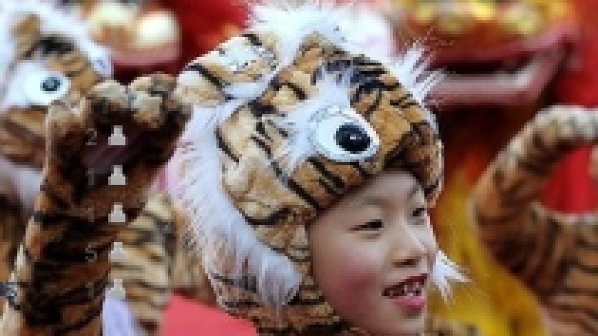 chinezii au sarbatorit intrarea in anul tigrului video