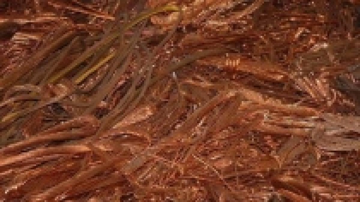 focuri de arma trase de politisti pentru prinderea unui hot de cabluri la rovinari