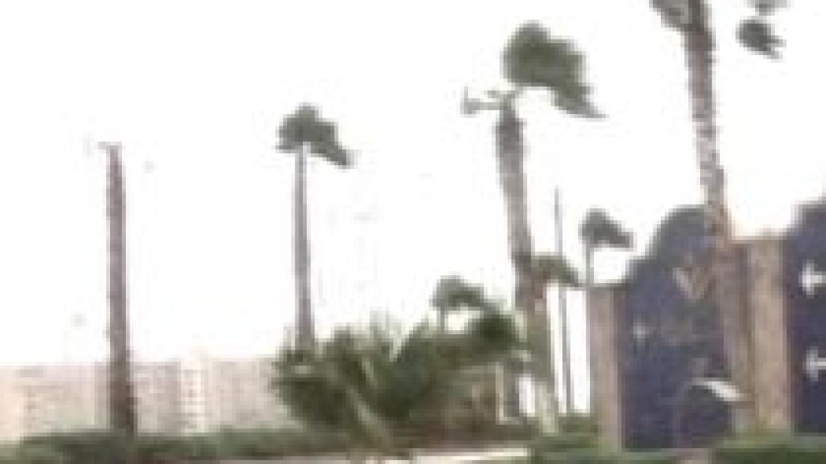 furtunile de pe insula portugheza madeira au provocat moartea a cel putin sapte oameni