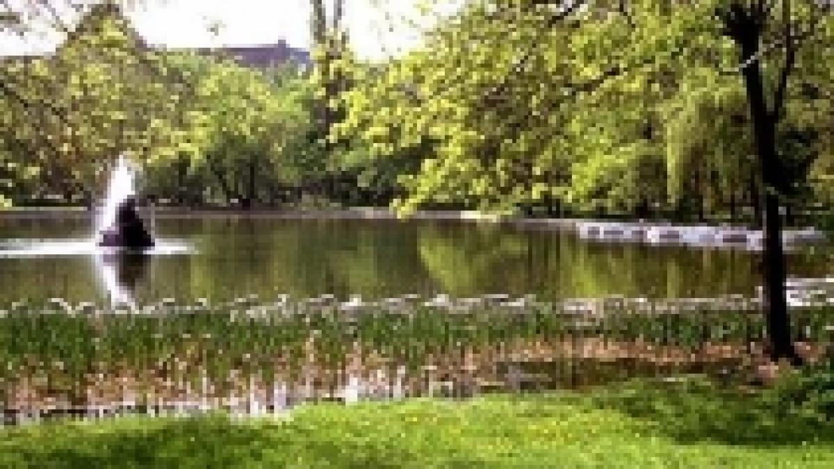 primaria capitalei da 35 7 milioane lei pentru salubrizarea parcurilor si aleilor