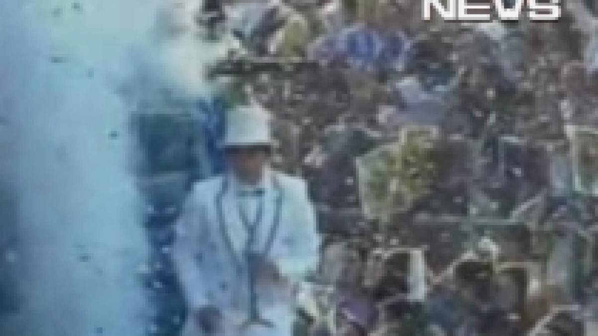 radu mazare pe carul alegoric primarul danseaza samba la carnavalul din sao paolo video