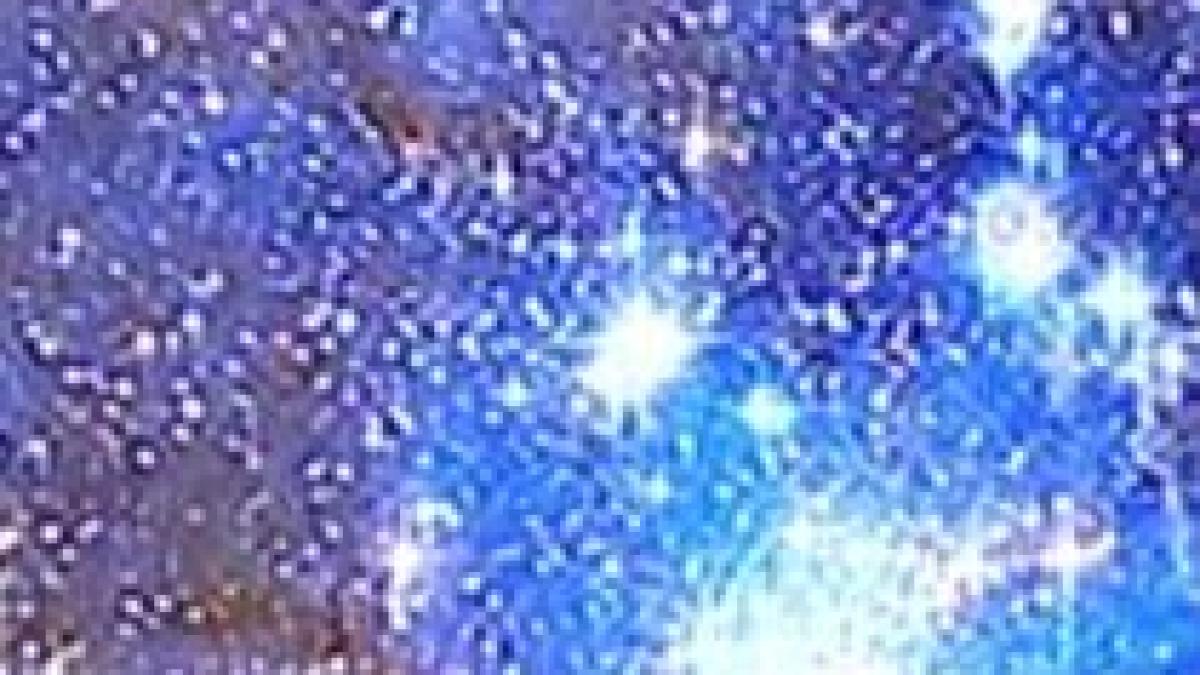 cadou excentric de dragobete romanii isi daruiesc stele video