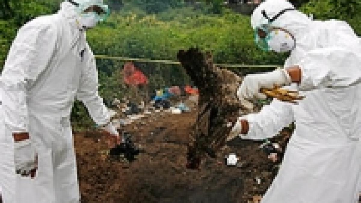 virusul gripei aviare o noua amenintare poate deveni ucigas pandemic