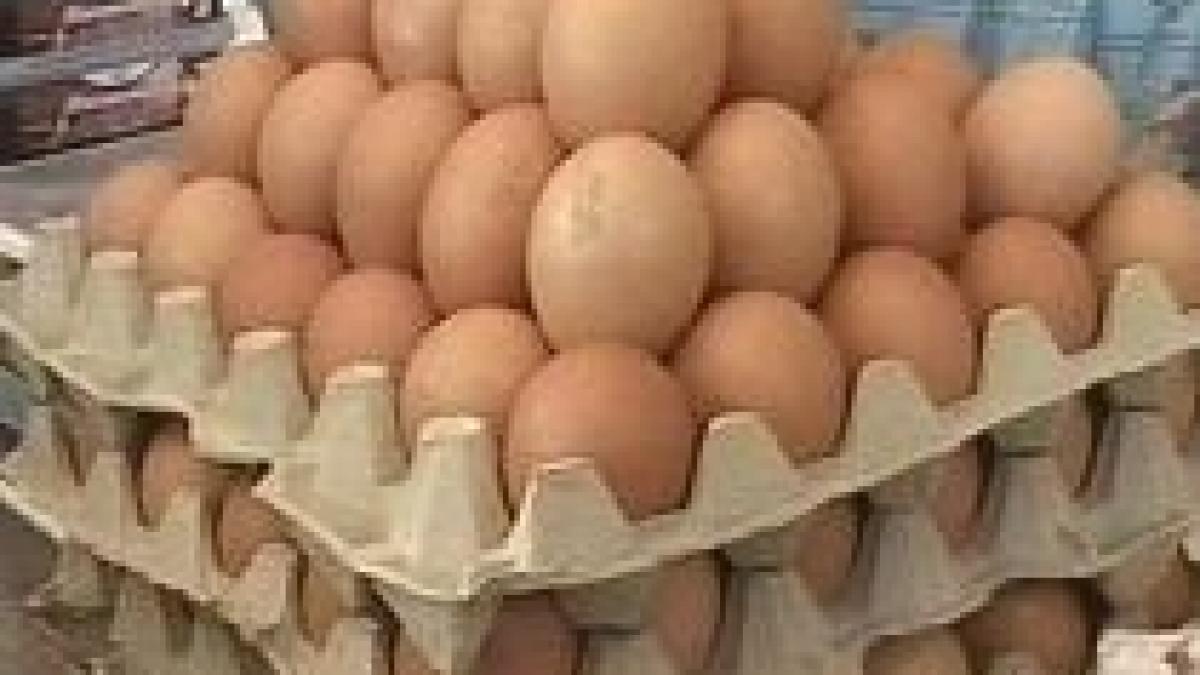 scandalul stampilei de pe ou inveselirea gainilor ar duce la o scumpire de peste 10