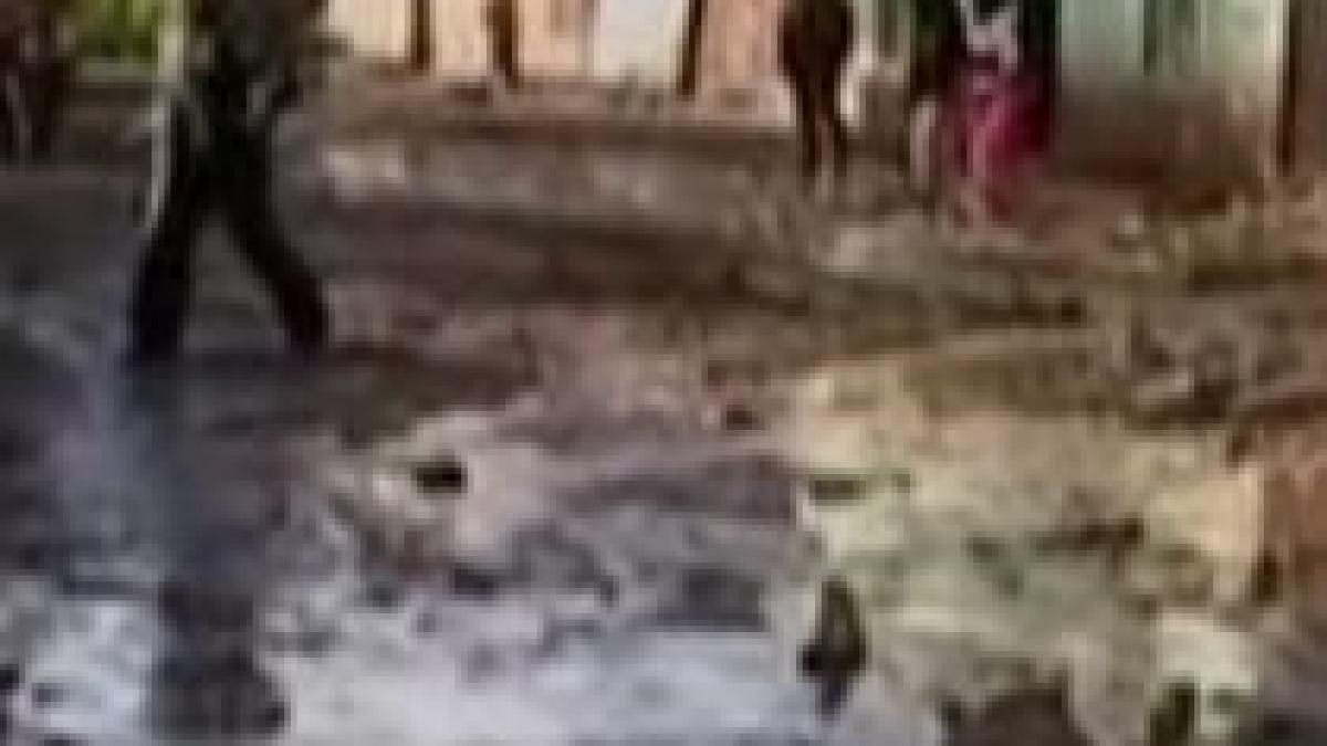 13 morti si 3 000 de sinistrati in urma inundatiilor din haiti