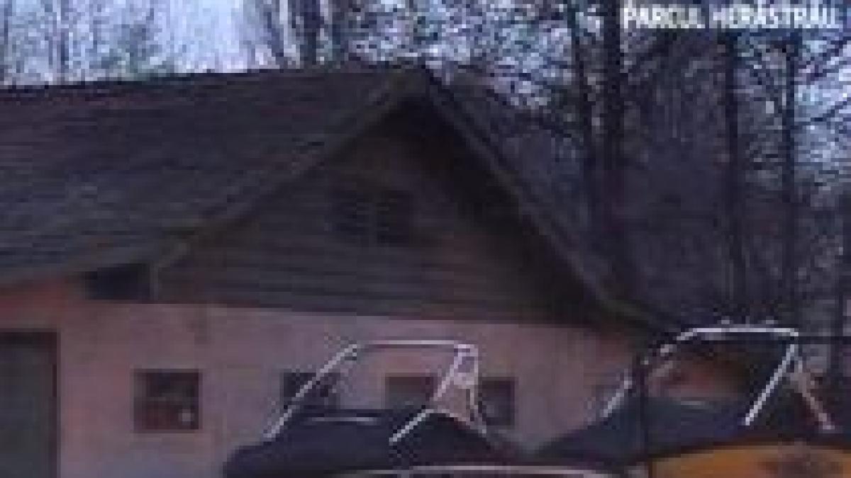 7 hectare din parcul herastrau ar putea trece in proprietate privata cu mai putin de 1 milion de