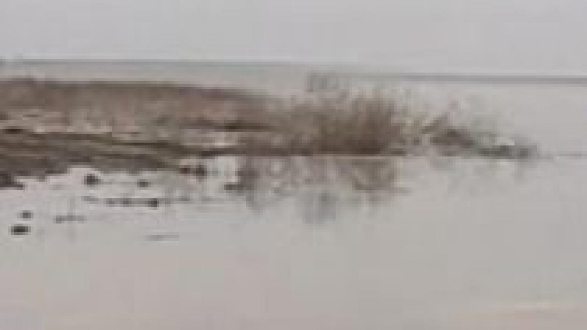 dunarea a iesit din matca sute de hectare de teren inundate vezi cand se emite cod rosu video