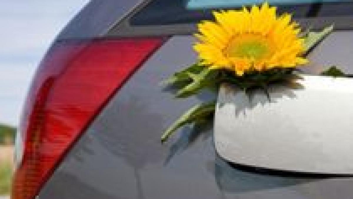 ce industria auto europeana trebuie sa investeasca in masini ecologice