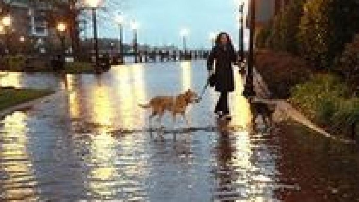 europa isi revine dupa cea mai puternica furtuna din ultimii 50 de ani