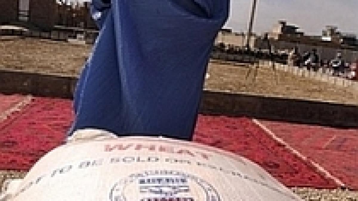 afganistan nato a lansat o ancheta asupra coruptiei afgane ce deturneaza ajutoarele umanitare