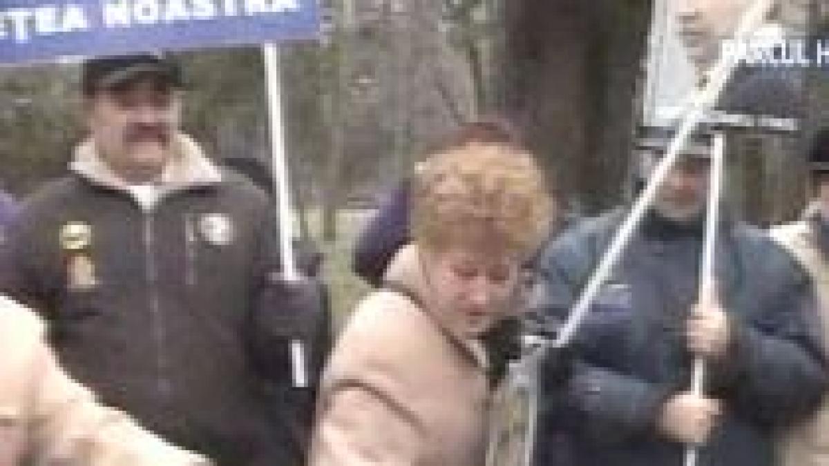 bucurestenii protesteaza fata de vanzarea a sapte hectare din parcul herastrau catre firme private