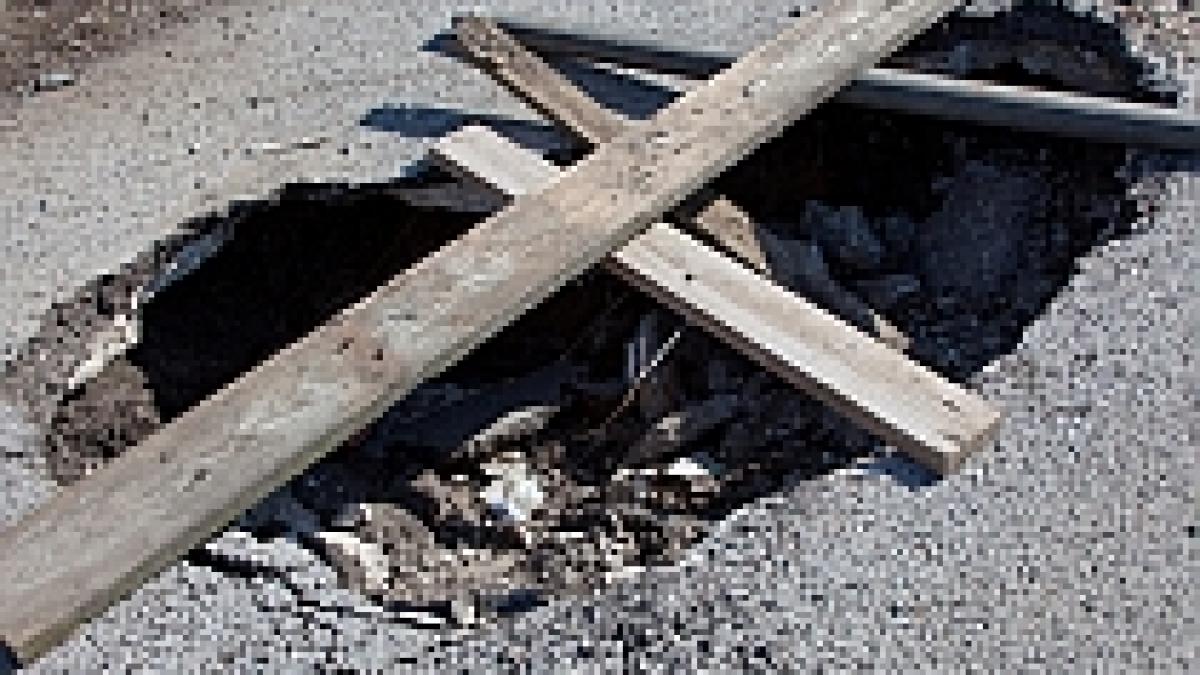 presa bulgara a lansat o campanie de cautare a gropii favorite