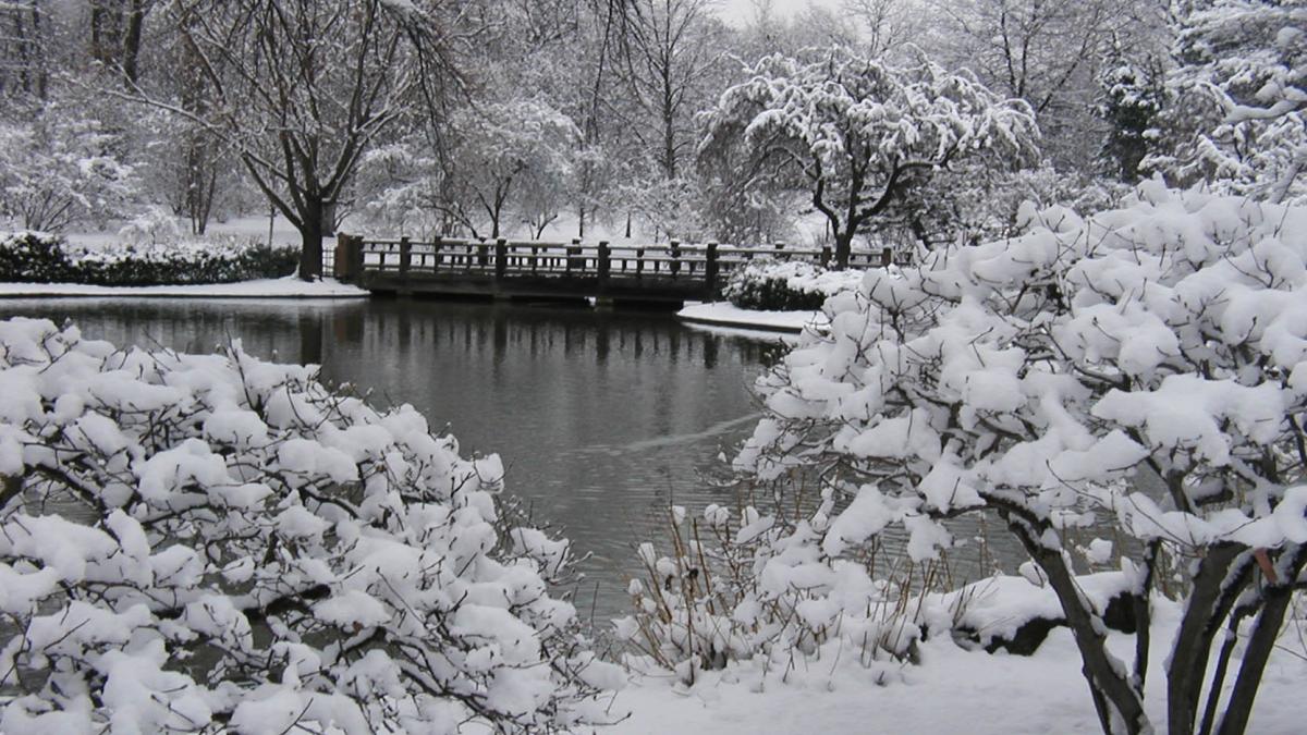 spania insula mallorca acoperita de zapada