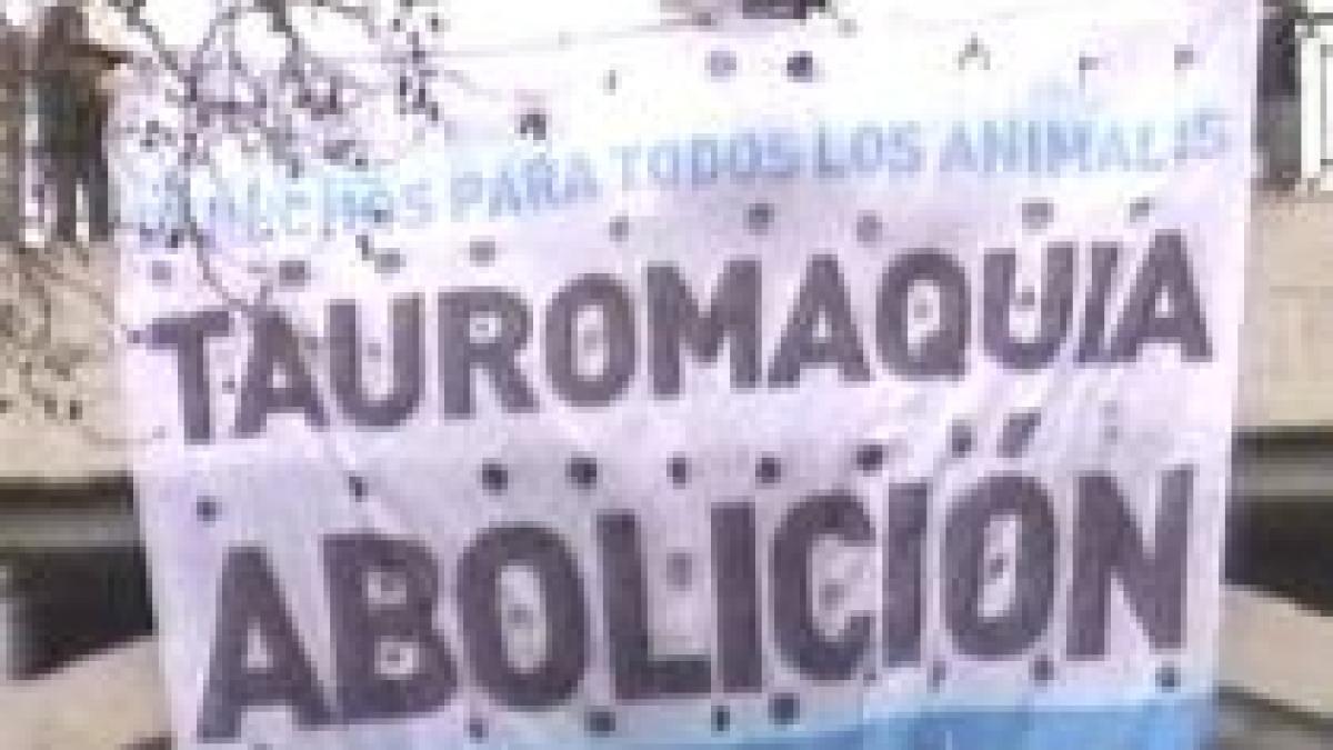 corridele in pericol din cauza militantilor iberici pentru drepturile animalelor video