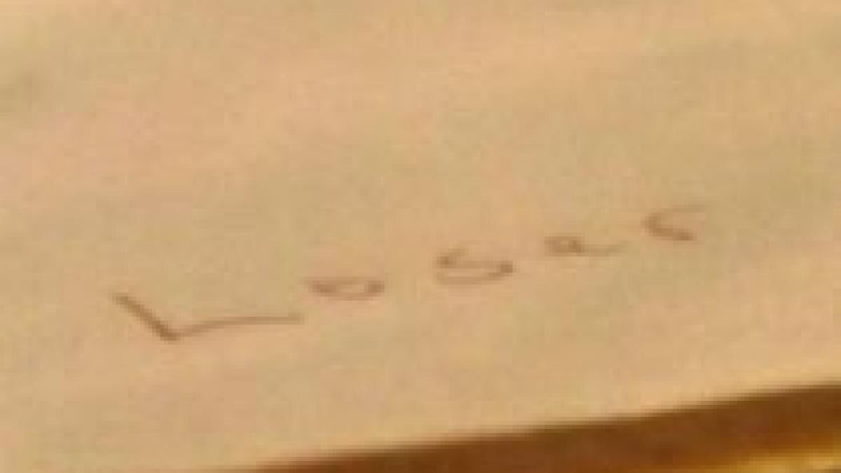 un profesor american a facut o eleva ratata video