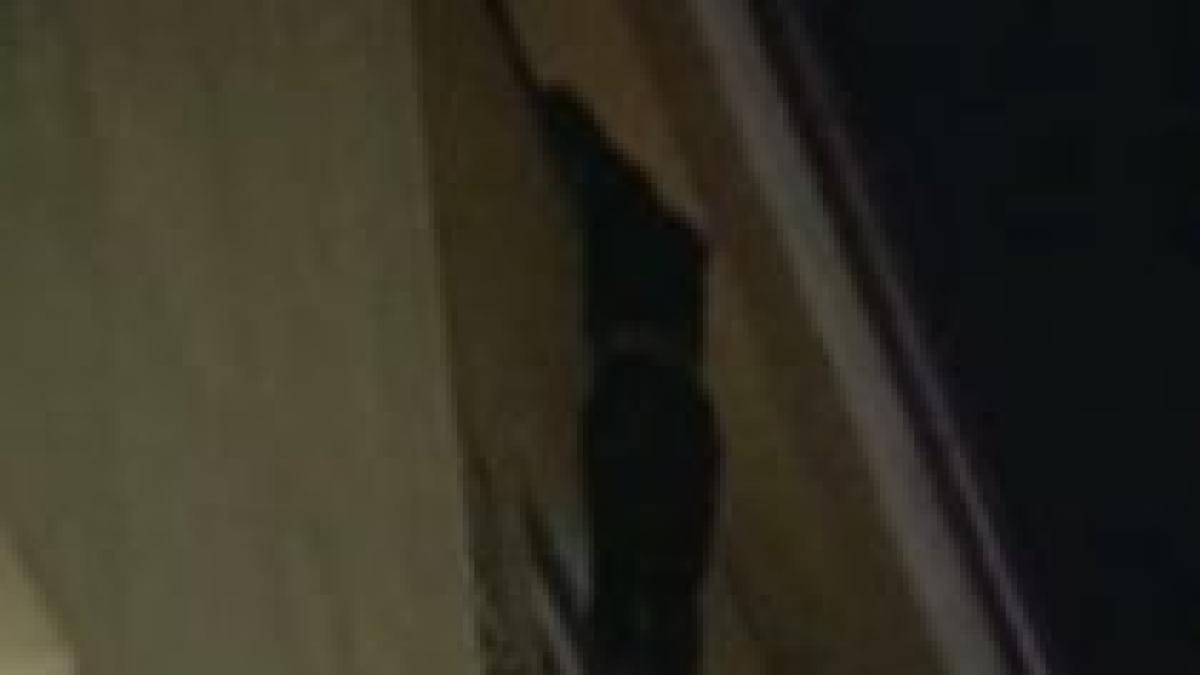 solutie high a stat atarnat de balcon pentru a nu fi acuzat ca detine droguri video