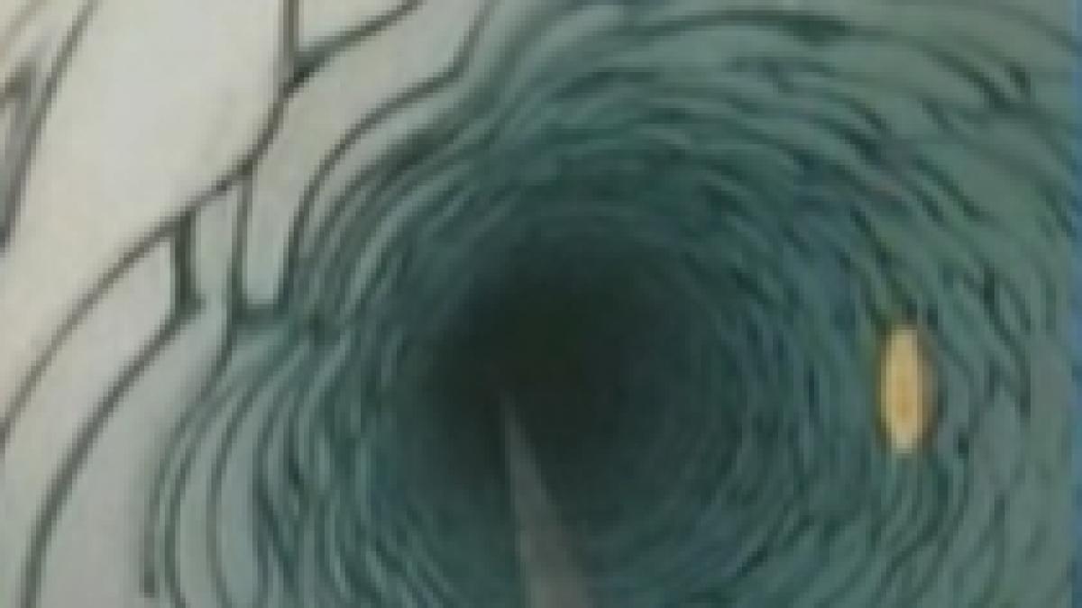 creatura bizara descoperita la 200 de metri sub gheata din antarctica video