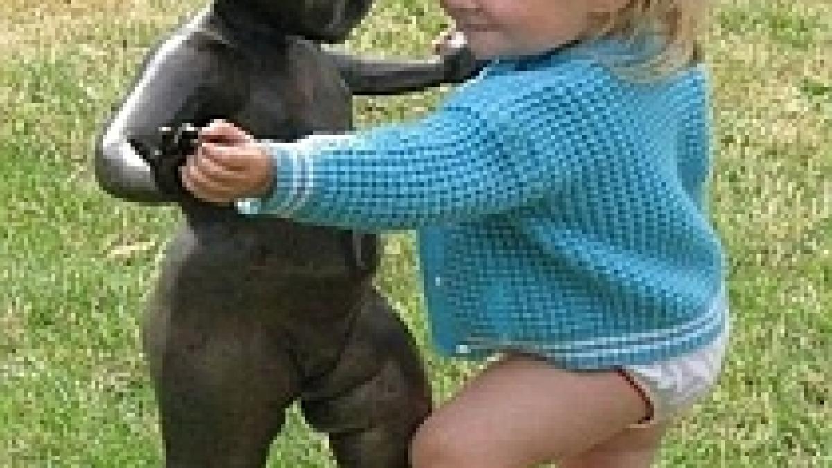 studiu copiii se nasc cu simtul dansului