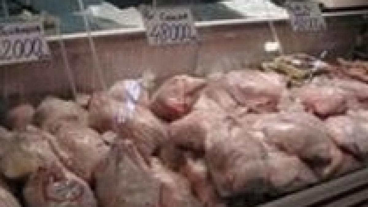 studiu 75 din puii sacrificati in ue contaminati in romania procentul este de 64 video