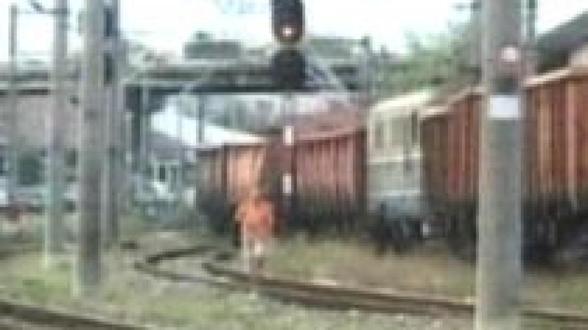 un marfar incarcat cu lignit a deraiat in apropiere de petrosani video