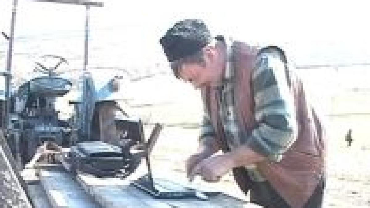 ciobanii romani vand miei pe internet video