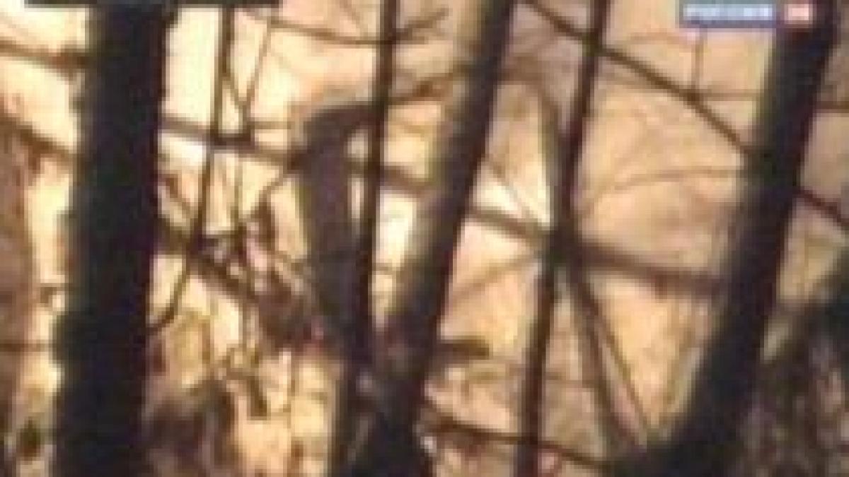 trei oameni in stare grava la spital dupa ce un avion de pasageri a aterizat fortat langa moscova