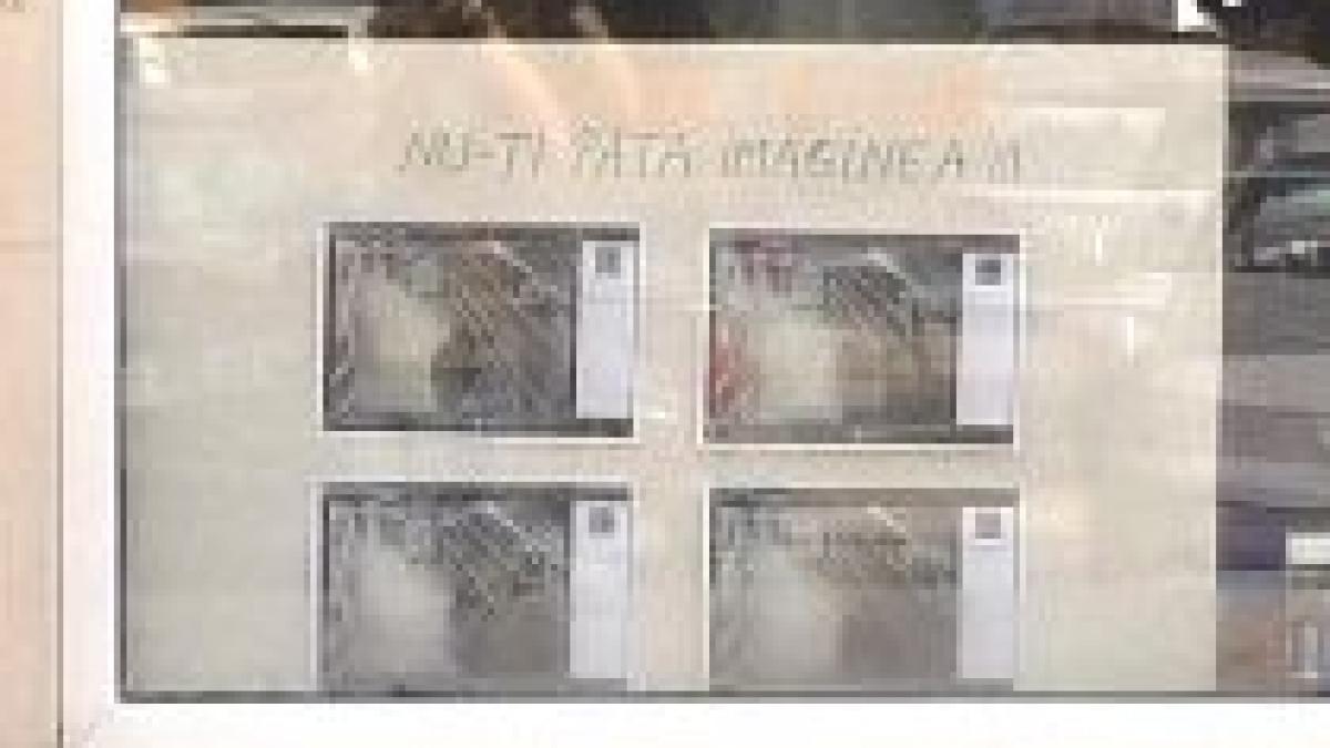 panoul rusinii solutia anti furt folosita de patronii unui supermarket din iasi video