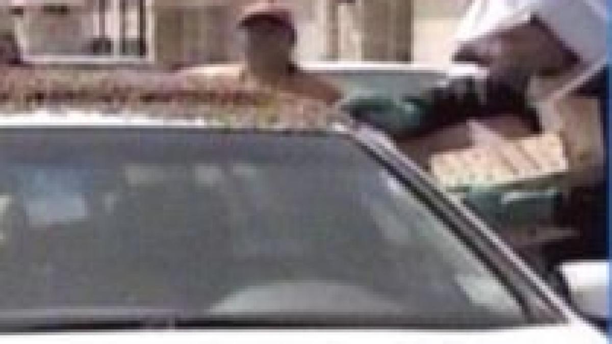 masina acoperita de albine in parcare video