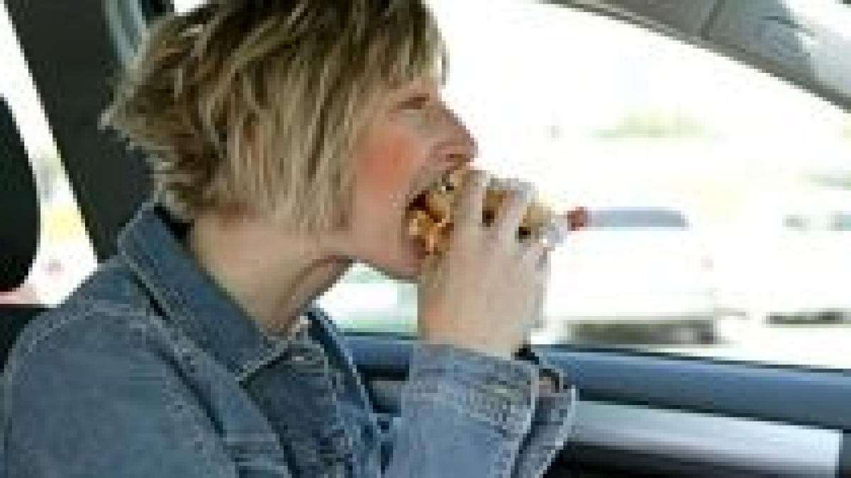 studiu mancarea grasa provoaca dependenta precum cocaina