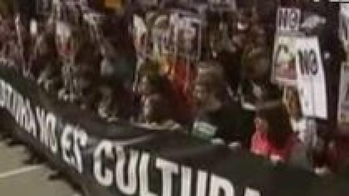 sute de spanioli solicita interzicerea coridelor si oprirea masacrarii taurilor video