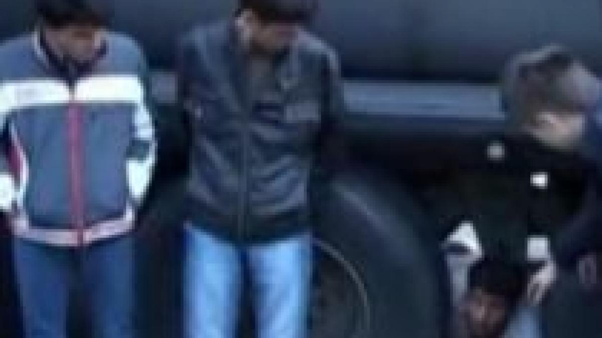 50 de cetateni afgani prinsi in timp ce incercau sa iasa din romania inghesuiti intr o cisterna