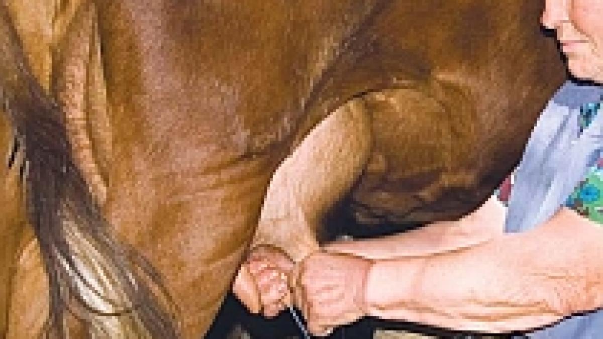 producatorii de lapte afectati de criza vor fi sprijiniti de stat