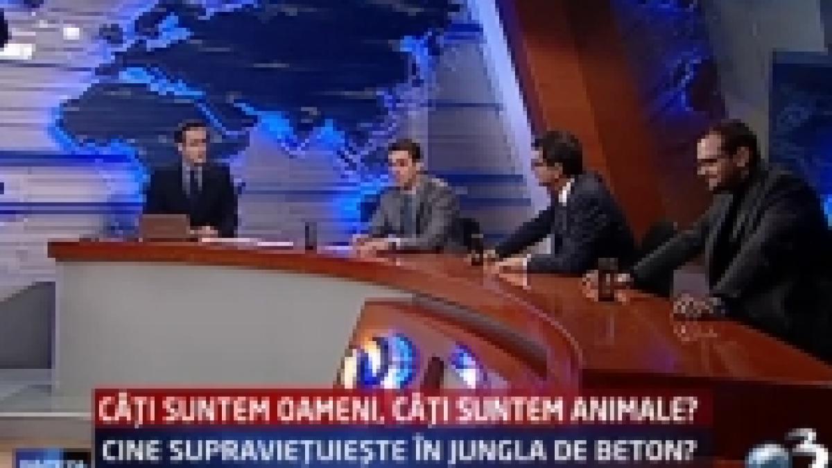 sinteza zilei cati suntem oameni cati suntem animale cine supravietuieste in jungla de beton